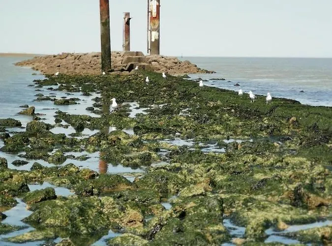 La Du Pecheur Apartment